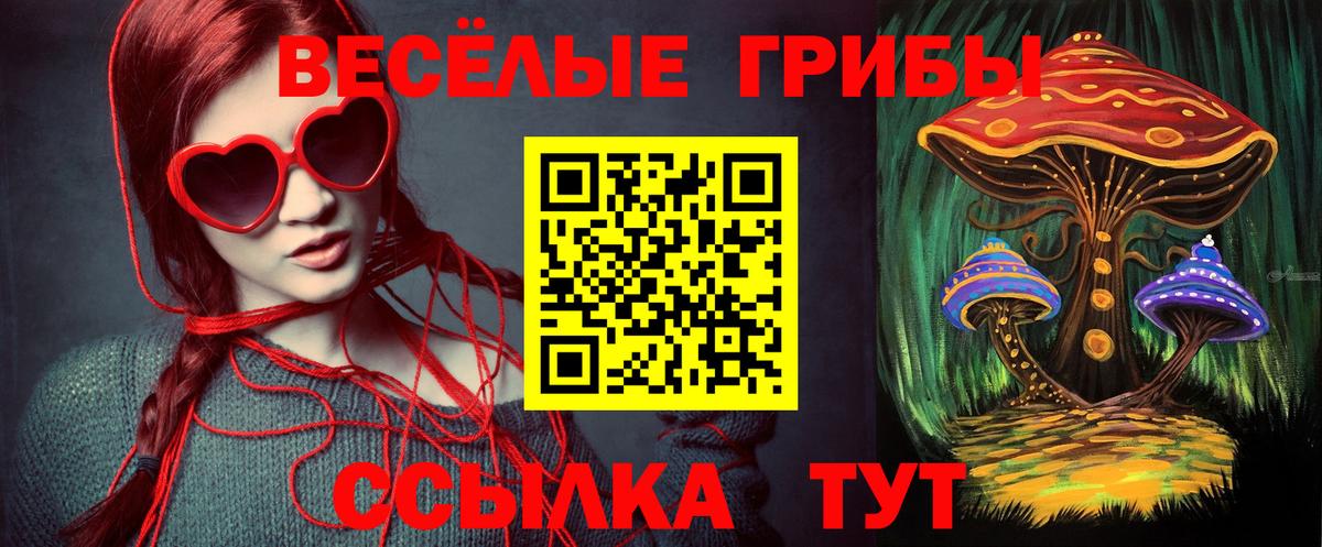 Галлюциногенные грибы Cubensis Реутов